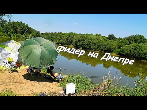 Видео: фидер на реке Днепр!!! рыбалка в смоленской области