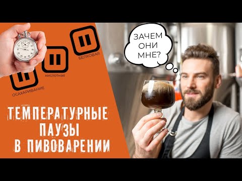 Видео: Температурные паузы в домашнем пивоварении! | На что влияют температурные паузы при варке пива?