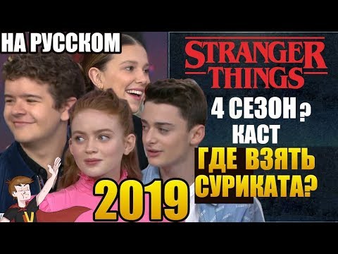 Видео: ОЧЕНЬ СТРАННЫЕ ДЕЛА ► |4СЕЗОН| КАСТ "ГДЕ ВЗЯТЬ СУРИКАТА ?"