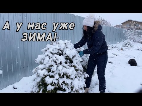 Видео: Сезон 2024 завершён! Сад готов к зиме!