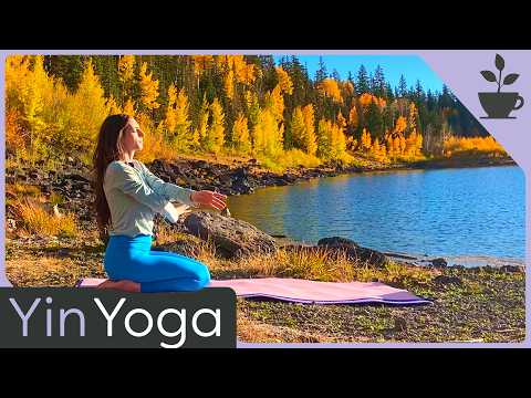Видео: 25 минут Инь-йоги | Минимальные подсказки | Гибкость спины и ягодиц | Расслабьтесь и отдохните в ...