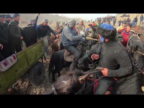 Видео: АЛАМАН УЛАК  Кара суу району фуркат айылы