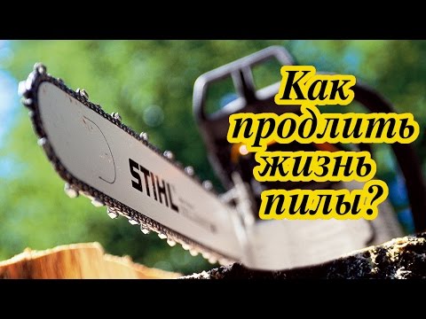 Видео: Бензопила - как продлись срок службы