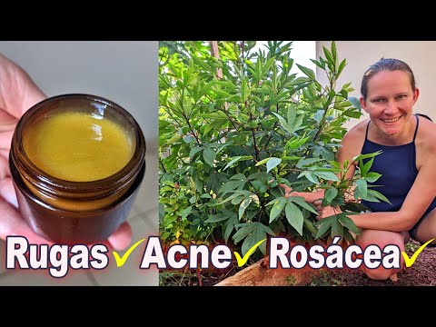 Видео: Гибискус – эффективен при лечении прыщей, морщин и всех типов КОЖИ 🌱 100% натуральный.