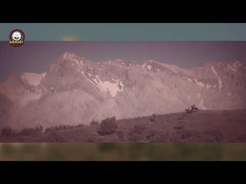 Видео: «Дала ділмарлары»: Бұқар жырау, Құнанбай би.