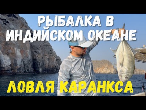 Видео: Рыбалка в Индийском Океане, ловля Каранкса.