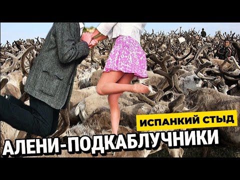 Видео: АЛЕНИ - ПОДКАБЛУЧНИКИ | Испанский стыд