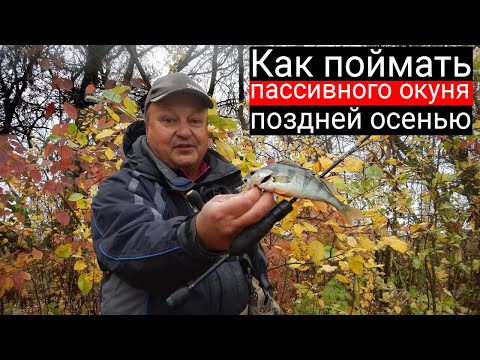 Видео: Как поймать пассивного окуня поздней осенью на спиннинг? Микро и наноджиг в ноябре с Nano One