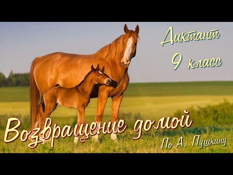 Видео: Диктант по русскому языку с проверкой! 9 класс. Возвращение домой #диктант9класс #диктант