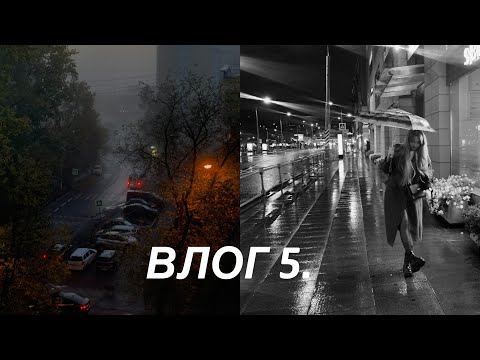 Видео: влог 5. день первокурсника на четвёртом курсе. будни.