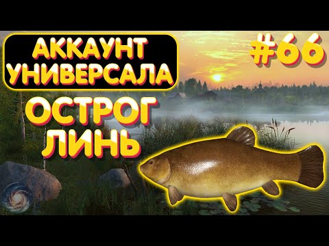 Видео: Аккаунт универсала #66 | Линь | оз. Старый Острог | Русская Рыбалка 4