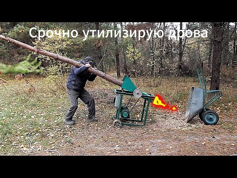 Видео: Садовый измельчитель веток и деревьев. Испытания