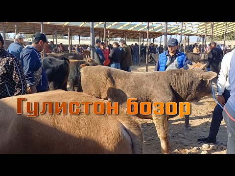 Видео: Калхозабод Гулистон бозор 👍 👍