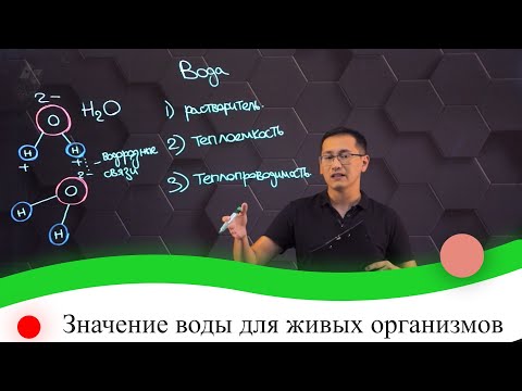 Видео: Значение воды для живых организмов. 7 класс.