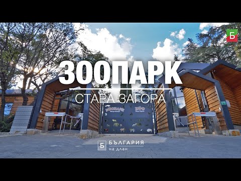 Видео: Зоопарк Стара Загора