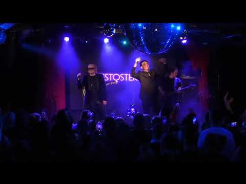 Видео: TESTOSTERON - Концерт 9.02.2024 ( Клуб 16 тонн, 10 лет группе)