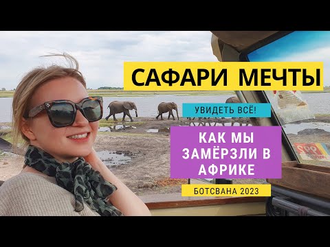 Видео: Реально ли увидеть львов? Как проходит сафари?