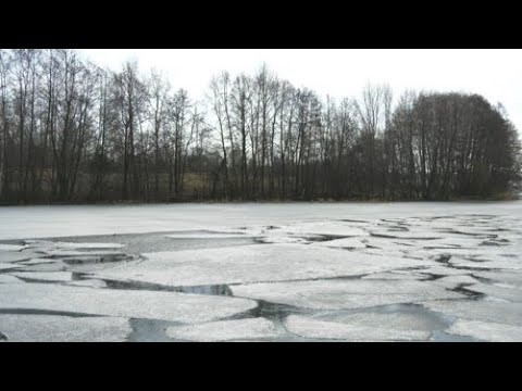 Видео: История создания воронежского водохранилища