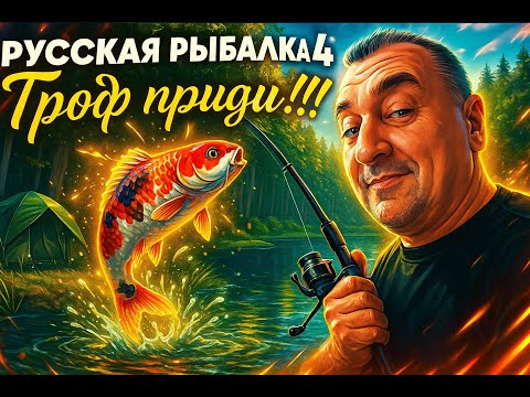 Видео: Русская рыбалка 4 🌎Троф приди!!!!🐠Розыгрыш Electro Raptor 20 (31.7кг)🔥Снасти,премы и гн в рулетке!!🔥