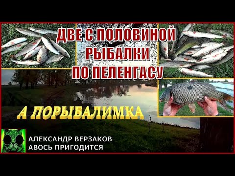 Видео: Две с половиной рыбалки по пеленгасу. А порыбалимка 6-й выпуск 23г.