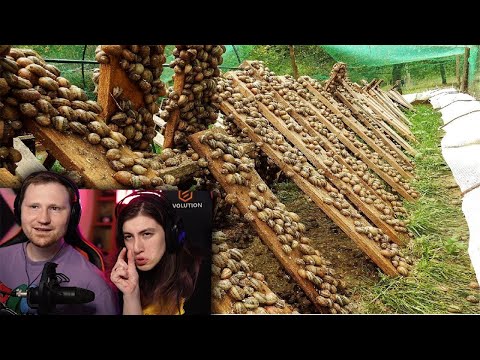Видео: Самые Невероятные Фермы в Мире | РЕАКЦИЯ на Top Five