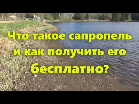 Видео: Сапропель - что это такое и как использовать (применение). Отличное удобрение для огорода.