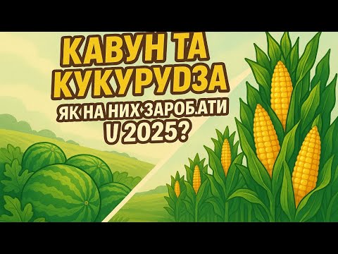 Видео: 1.000.000$ на кавуні . Це можливо ?