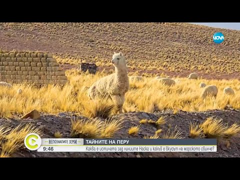 Видео: „Непознатите земи”: Тайните на Перу - линиите в Наска и храните, за които не сте и чували