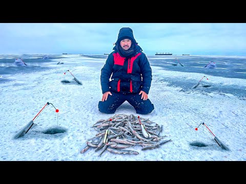 Видео: ЛОВИМ КРУПНУЮ КОРЮШКУ НА ФИНСКОМ ЗАЛИВЕ | ОТЛИЧНОЕ ОТКРЫТИЕ СЕЗОНА 2024