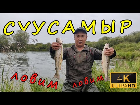 Видео: На что ловить форель летом. Горная рыбалка. Рыбалка  на Суусамыре 2021.  Кыргызстан.