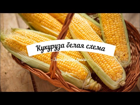 Видео: ГОС (горячее осахаривание) Кукуруза по белой схеме.
