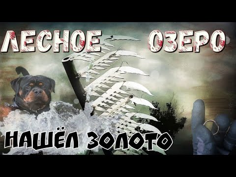 Видео: Лесное озеро |  Нашёл Золото |  Поисковые Грабли (2)