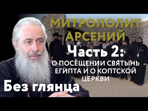 Видео: Интервью с митрополитом Арсением, часть 2. Что увидела делегация монашествующих УПЦ в Египте?