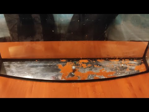 Видео: Аквариум. Как катится покаток по дну. Альтернативный монтаж.