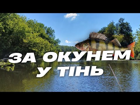 Видео: Відео за окунем у тінь