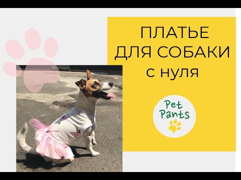 Видео: Платье для собаки. Строим лекало и шьем. Dog's clothes DIY