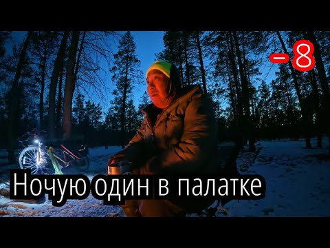 Видео: Холодная ночь в сердце леса: испытание морозом и тишиной