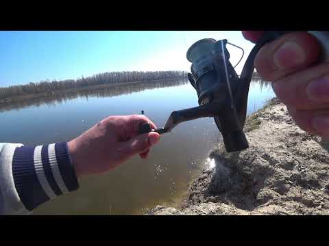 Видео: Рыбалка на Десне под Киевом в с. Пирново