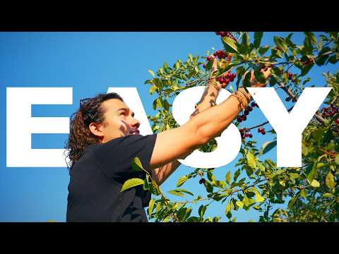 Видео: Ежедневные дела и подготовка к походу 🏕️ | Изучайте настоящий английский на практике