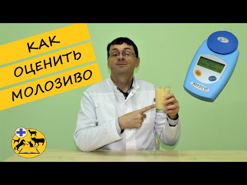 Видео: КАК ОЦЕНИТЬ МОЛОЗИВО
