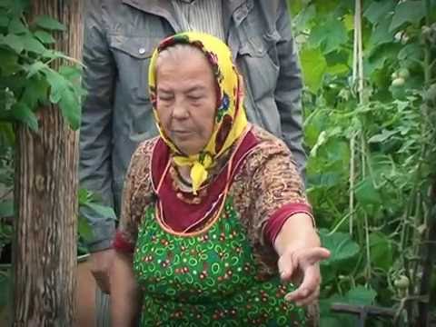 Видео: Во саду ли, в огороде 05.08.16