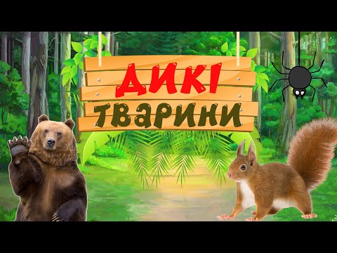 Видео: Дикі тварини для дітей. Навчальне відео з голосами та звуками тварин