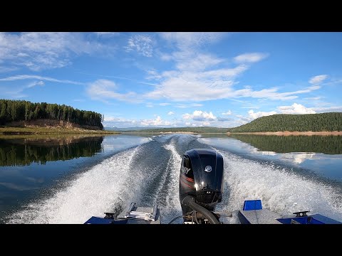 Видео: Рыбалка на Красноярском море август 2023