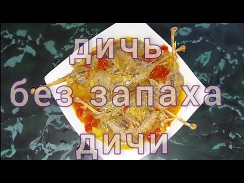 Видео: Готовим дичь. Избавляемся от запаха дичи. Курица не птица. Лысуха не утка.  Водяная курочка - Лысуха