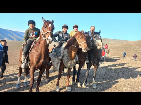 Видео: жетишип коруп калгыла