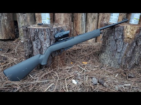 Видео: Ремонт пневматической винтовки Crosman 1077
