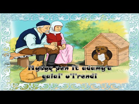 Видео: Мысық пен ит адамға қалай үйренді!