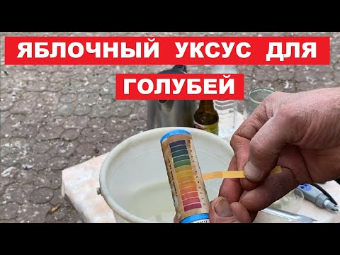 Видео: Как правильно использовать яблочный уксус 6% или 9%, для подкисления питьевой воды голубей.