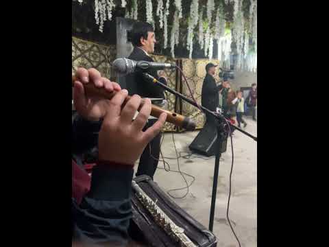 Видео: 1 ноября 2025 г.