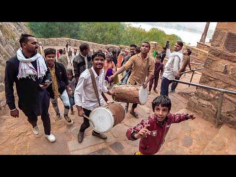 Видео: Индия. В мире животных. В гостях у индусов #5